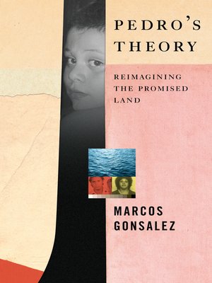 cover image of Pedro's Theory
